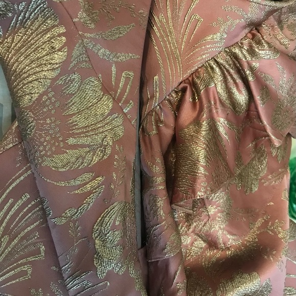 Rochas Pre-Fall 2017 Rose Gold Silk Versailles Evening Gown Small - Picture 9 of 16